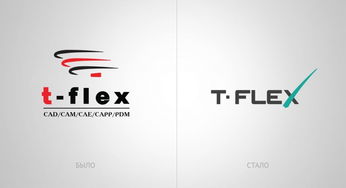 t flex 俄羅斯軟件產品開發公司